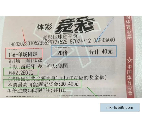 世界杯在线投注攻略 提升投注技巧赢取大奖的必备指南